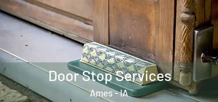 Door Stop Services Ames - IA