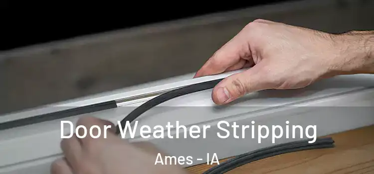 Door Weather Stripping Ames - IA
