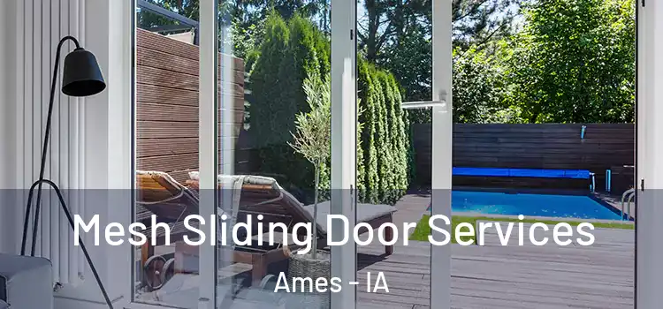 Mesh Sliding Door Services Ames - IA